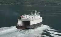 Trasportatore di merci sfuse in vendita