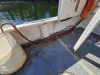 Nave per la lavorazione del pesce in vendita