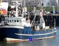 Peschereccio a strascico a trave in vendita