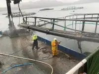 Imbarcazioni da lavoro in vendita