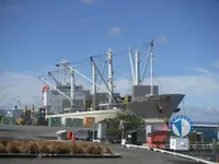 Nave reefer in vendita