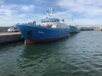 Nave reefer in vendita