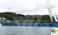 Chiatta in vendita