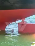 Trasportatore di merci sfuse in vendita