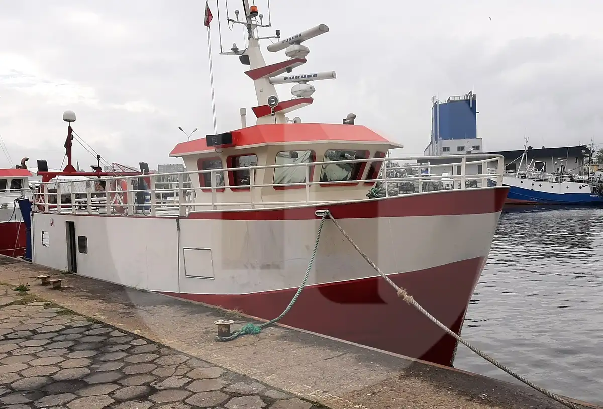 Trasportatore di pesce vivo in vendita