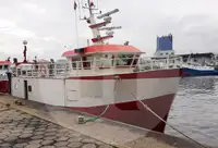 Trasportatore di pesce vivo in vendita