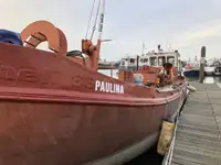 Chiatta in vendita