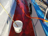 Nave traghetto in vendita