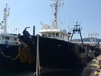 Peschereccio a strascico in vendita