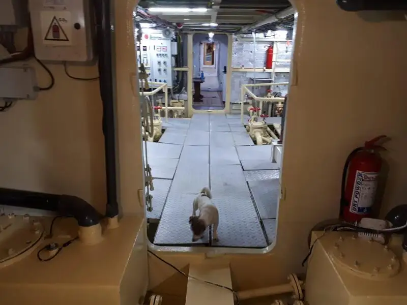 General Cargo/Multi-purpose in vendita