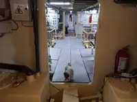 General Cargo/Multi-purpose in vendita