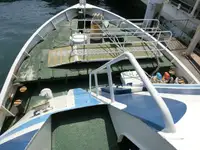 Nave da crociera in vendita