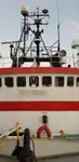 Nave refrigerata in vendita