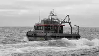 Portacontainer in vendita