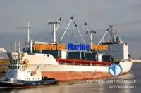 Nave refrigerata in vendita