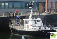 Barche da lavoro in vendita