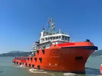 Rimorchiatore di ancoraggio e approvvigionamento (AHTS) in vendita