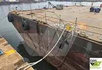 Chiatta in vendita