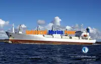 Nave refrigerata in vendita