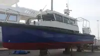 Piroga in vendita