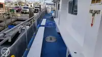 Catamarano in vendita
