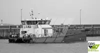 Nave di servizio per parchi eolici in vendita