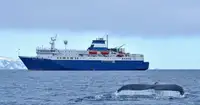 Nave RoPax in vendita