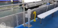 Catamarano in vendita