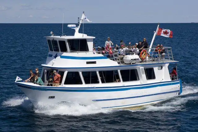 Nave da crociera in vendita