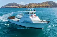 Trawler in vendita