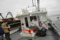 Piroga di pilotaggio in vendita
