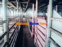 Trasportatore di bestiame in vendita