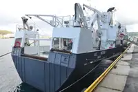 Portacontainer in vendita