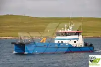 Nave di servizio per parchi eolici in vendita