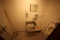 Trasportatore di merci sfuse in vendita