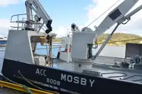 Portacontainer in vendita