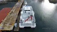 Catamarano in vendita