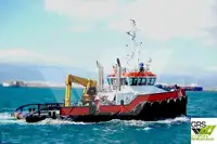Barche da lavoro in vendita