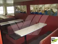 Nave da crociera in vendita