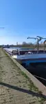 Trasportatore di merci sfuse in vendita