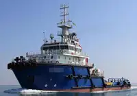 Trasportatore di merci sfuse in vendita