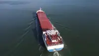 Trasportatore di merci sfuse in vendita