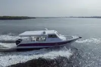 Nave da crociera in vendita