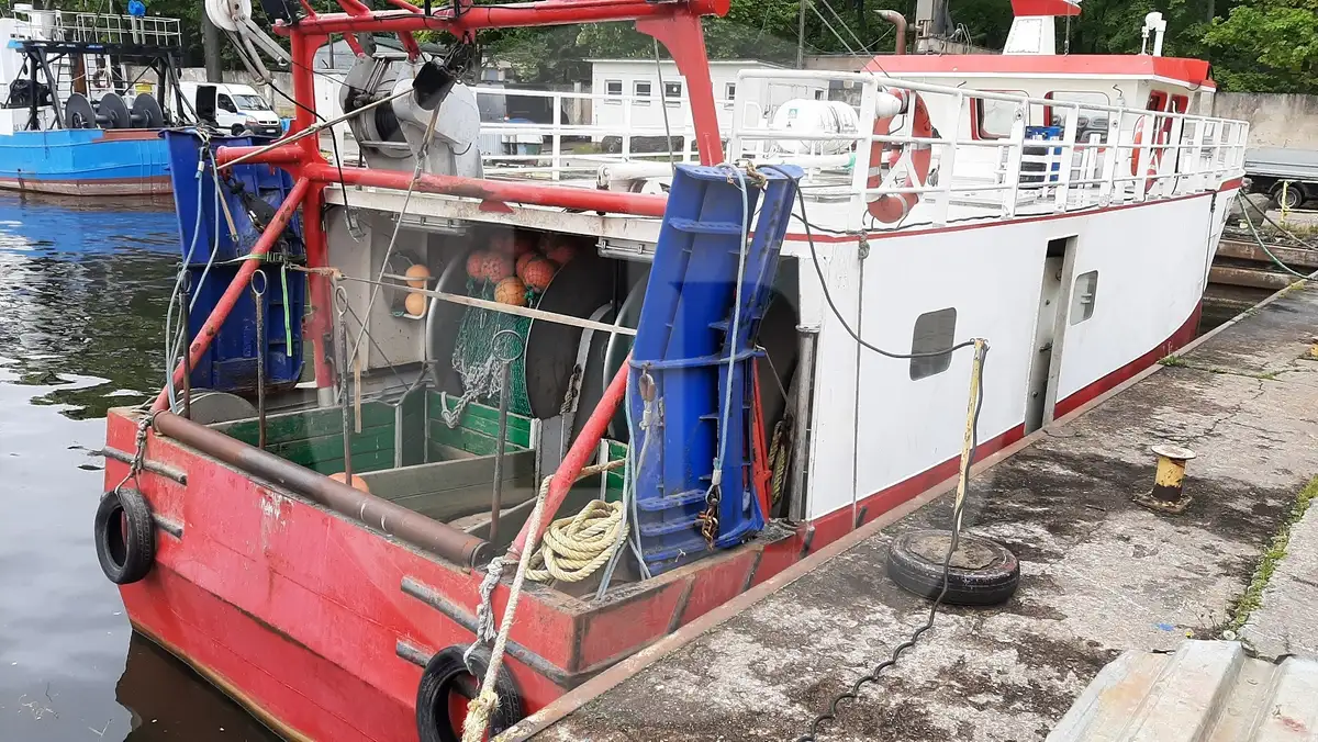 Trasportatore di pesce vivo in vendita