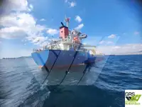 Trasportatore di merci sfuse in vendita
