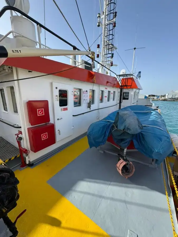 Portacontainer in vendita