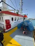Portacontainer in vendita