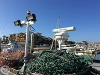 Peschereccio a strascico in vendita