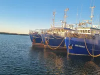 Peschereccio a strascico in vendita