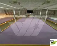 Nave Ro-Ro in vendita